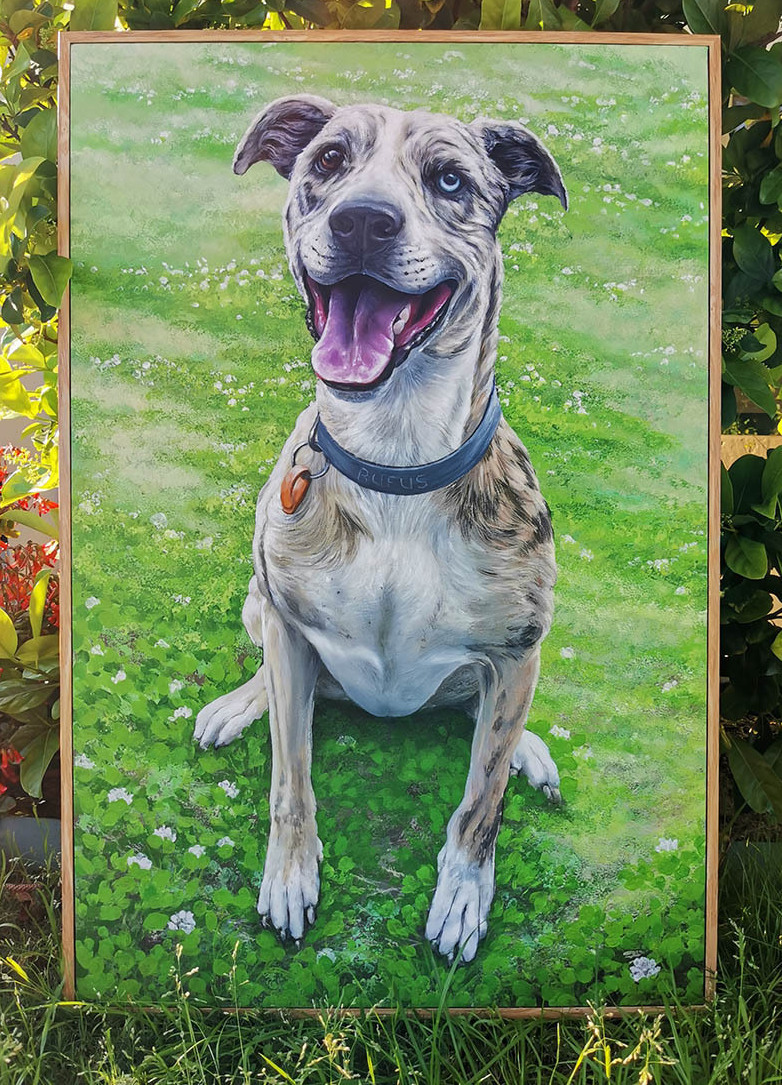 Dog canvas art in Perth
